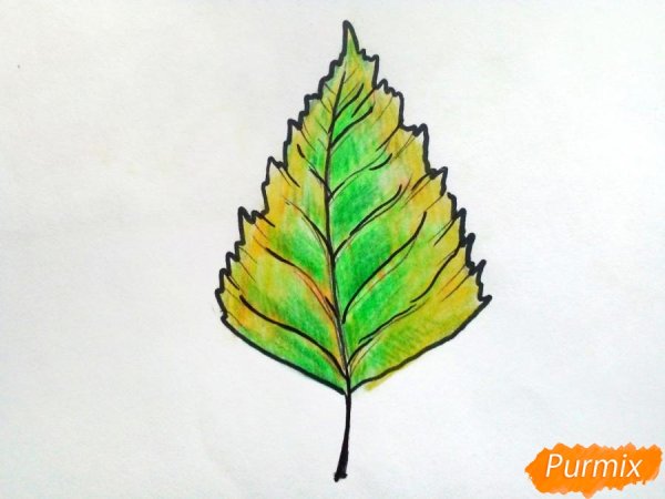 Рисование лист березы