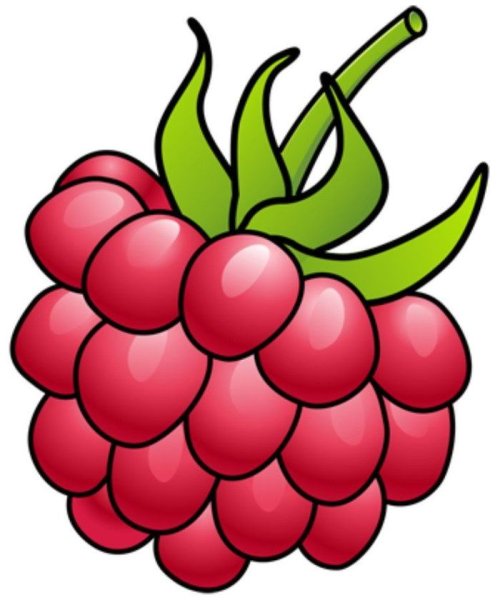 Малина для срисовки