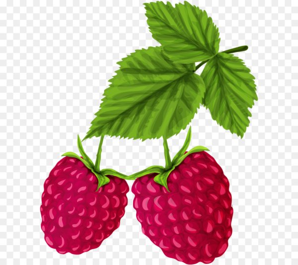 Малина символ