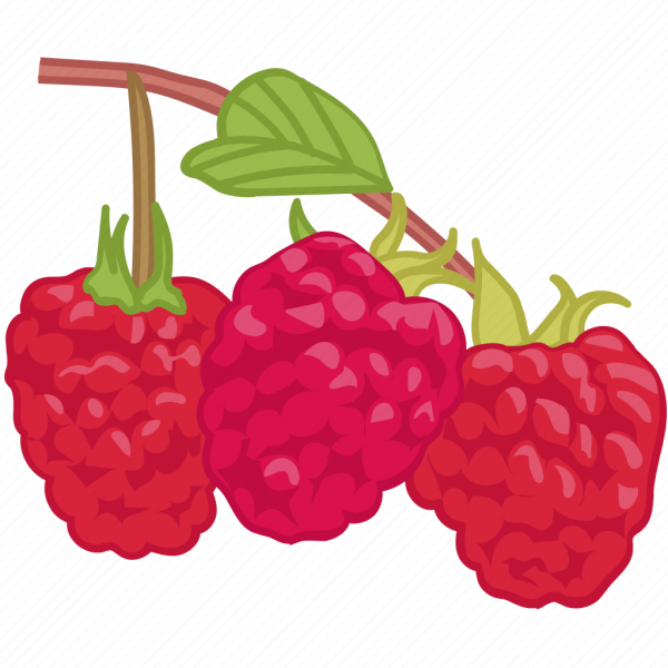 Ягоды картинки для детей