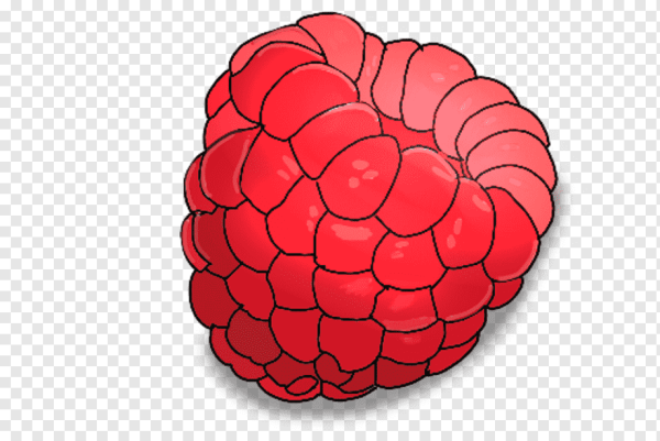 Малина для детей