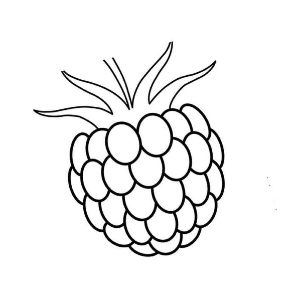 Малина рисунок для детей