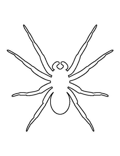 Паук контур