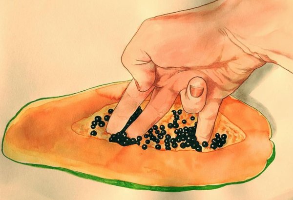 Фрида Кастелли