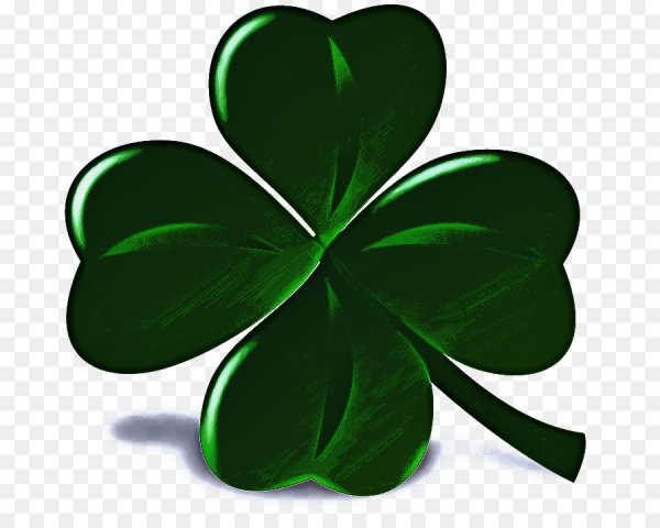 Ирландский Клевер четырехлистный