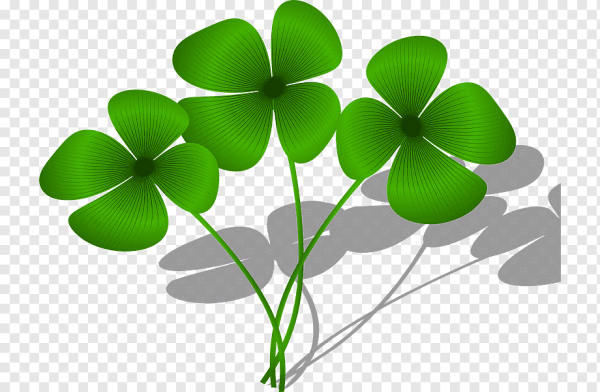 Клевер четырехлистник символ