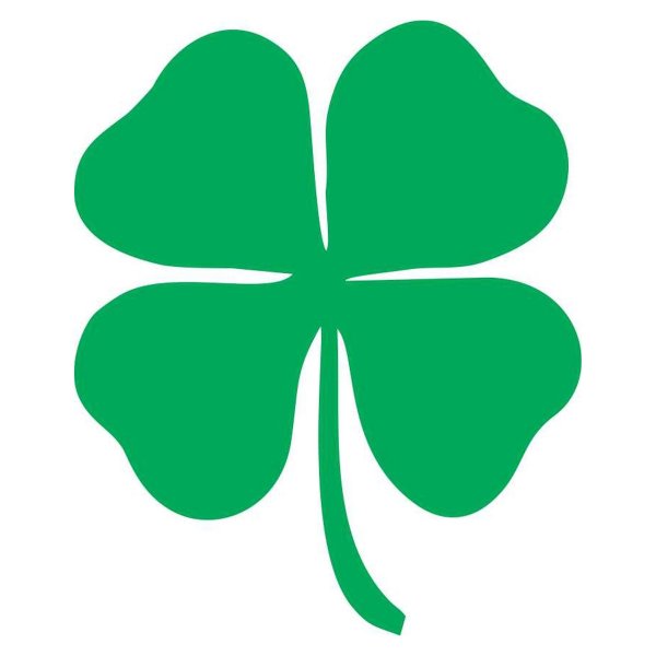 Белый четырехлистный Клевер