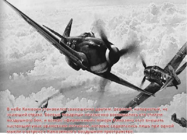 Самолет Павла Михайловича Камозина