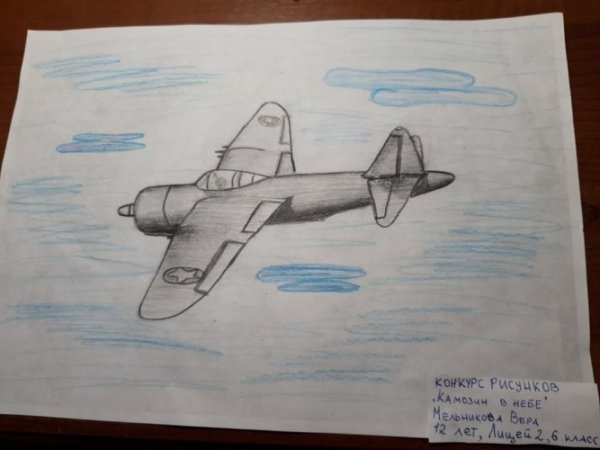 Павел Камозин рисунок