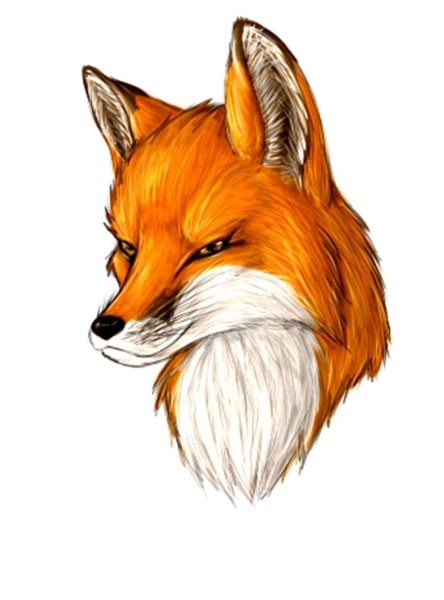 Лиса морда арт