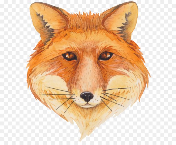 Морда лисы для детей