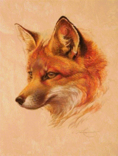 Лисья морда арт