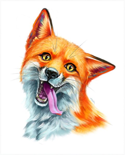 Лиса морда арт