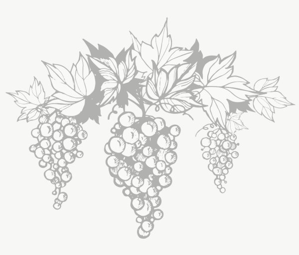 Нарисовать виноград