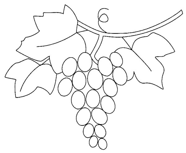 Виноград пейнт