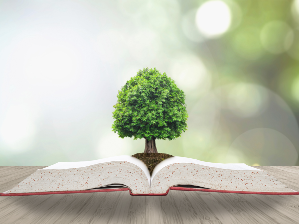 Дерево знаний картинки