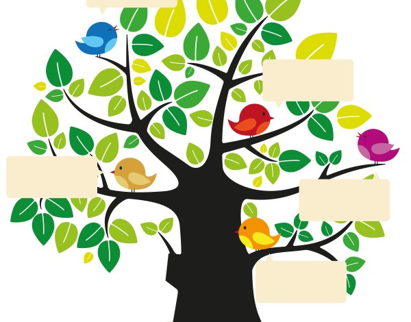 Дерево знаний для детей