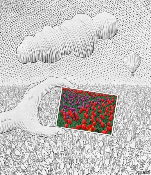 Вырезанные картинки для презентации