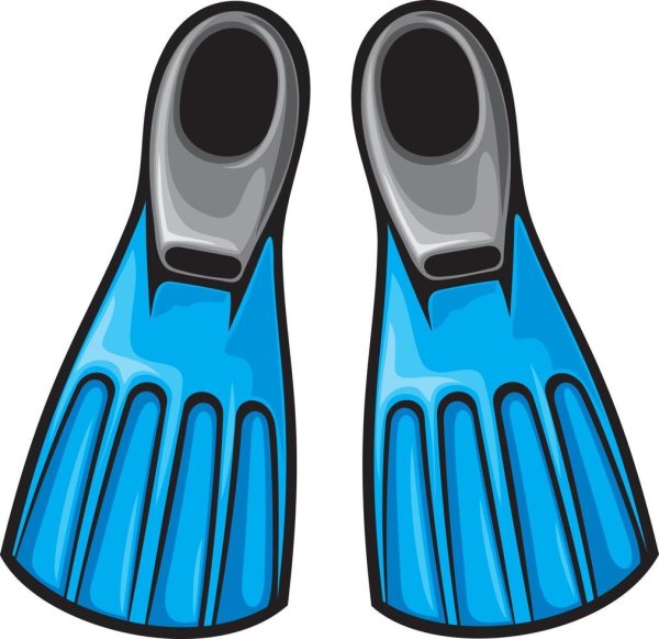 Ласты вектор