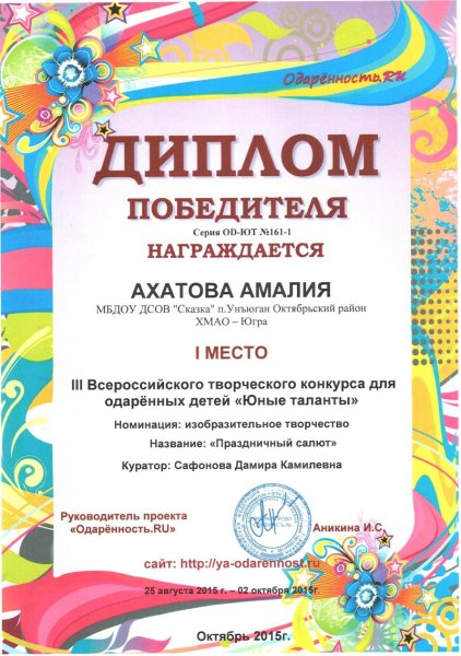 Номинация лучший рисунок