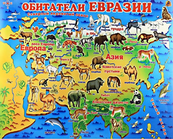 Очертания России