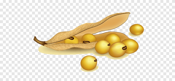 Соевые Бобы вектор