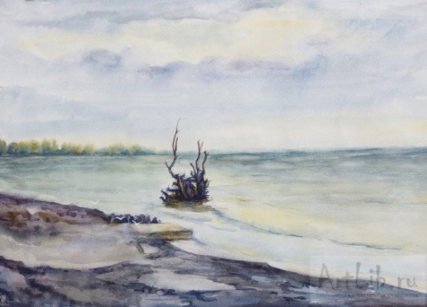 Контур Каспийского моря