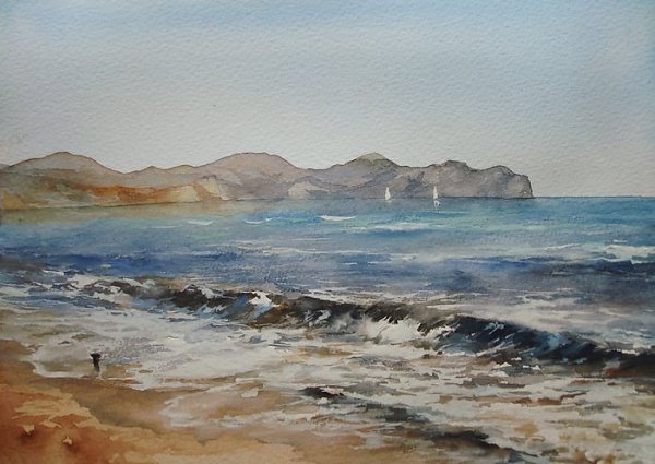 Каспийское море вид сверху