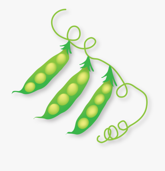 Пиктограмма стручок гороха
