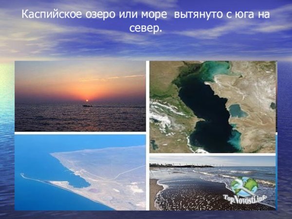 Самур Каспийское море