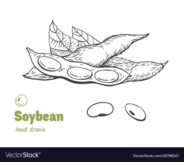 Соя раскраска