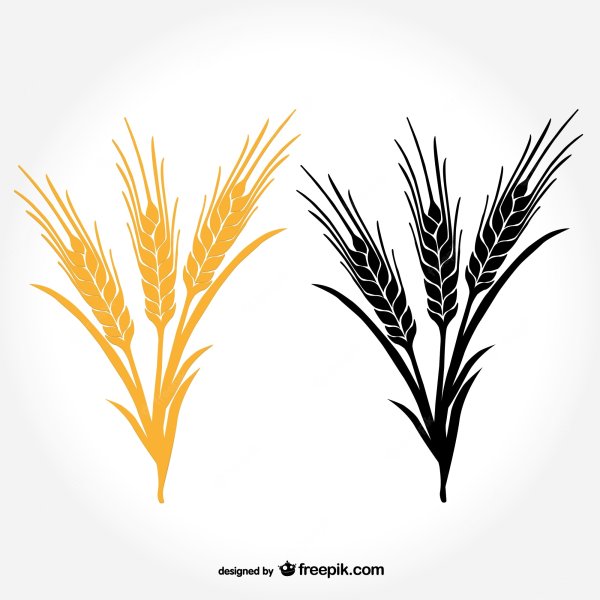 Стилизованные колоски