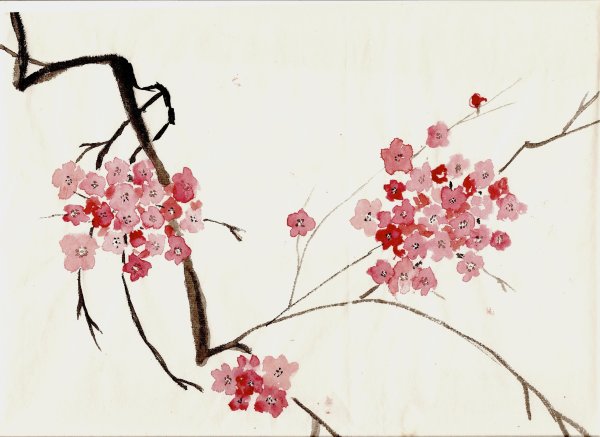 Суми э Сакура