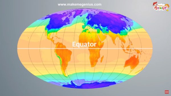 Укажите какой буквой на рисунке обозначены