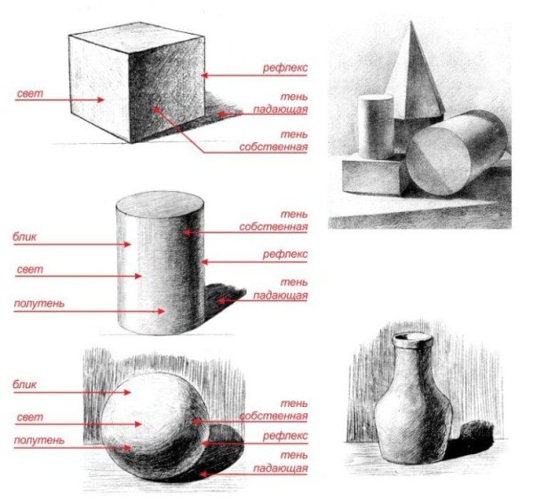 Основы светотени в рисунке карандашом