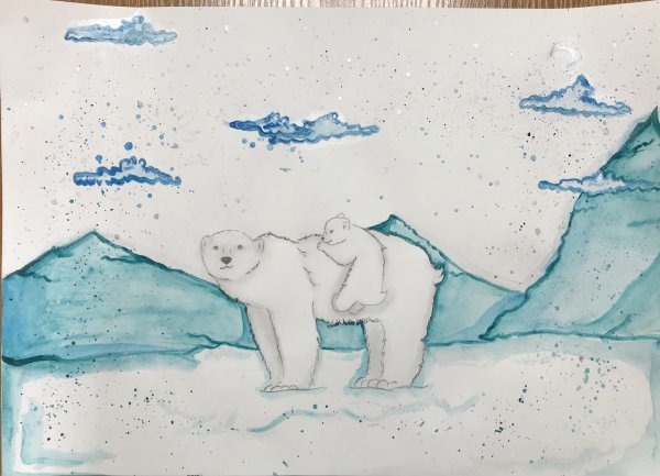 Рисунок на тему Арктика