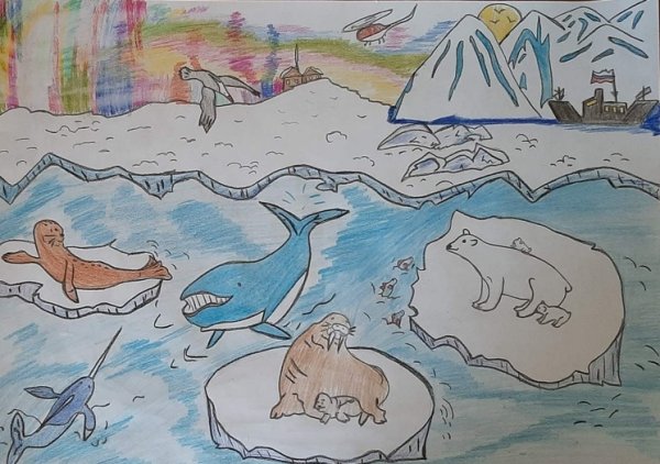 Артика нарисова