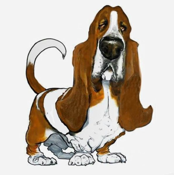 Бассет хаунд мультик