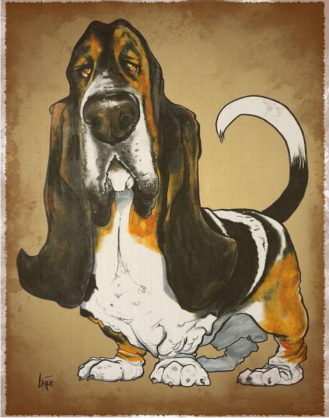 Собака Бассет хаунд рисунок