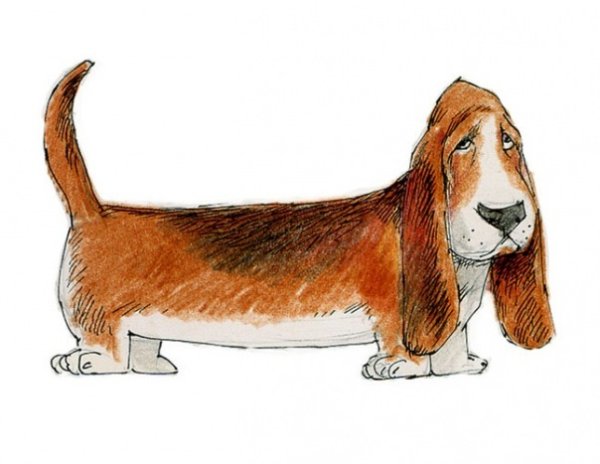 Бассет в мультике