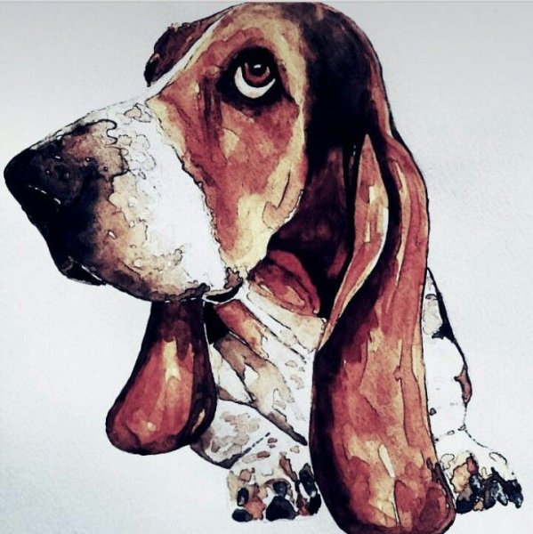 Бассет хаунд акварелью