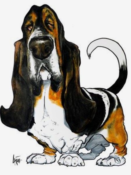 Бассет-хаунд нарисовать
