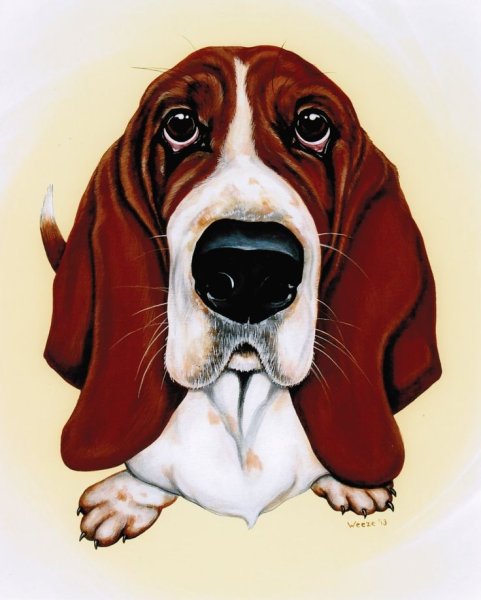 Бассет хаунд мультяшный
