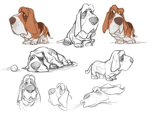 Собака Бассет хаунд рисунок
