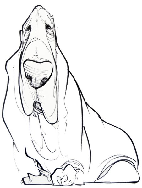 Бассет-хаунд нарисовать