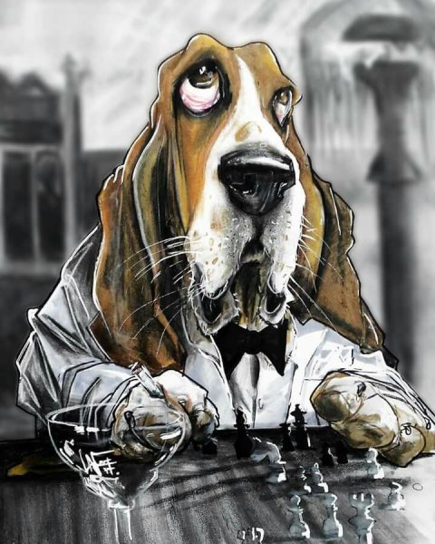 Бассет-хаунд фурри