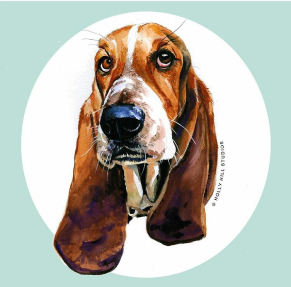 Бассет акварелью