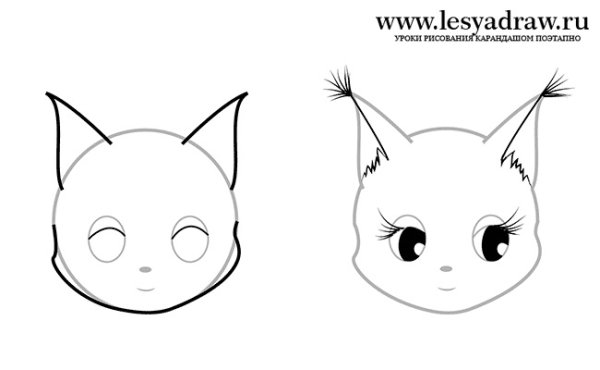 Мордочка белки рисунок для детей