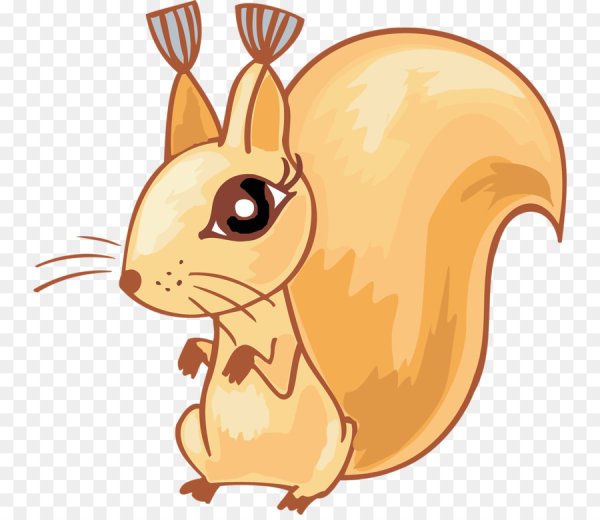 Мордочка белочки