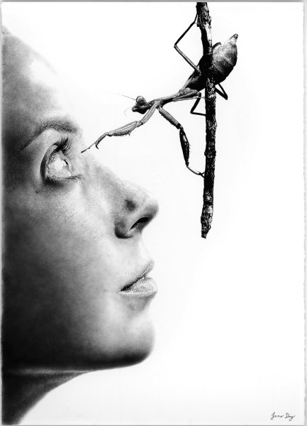 Джоно драй Jono Dry